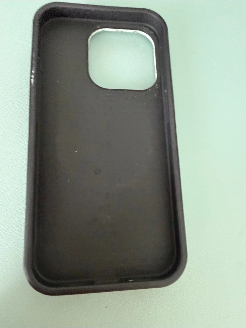 Burga Lost In Thought iPhone 15 Pro Case — Sage Green Floral